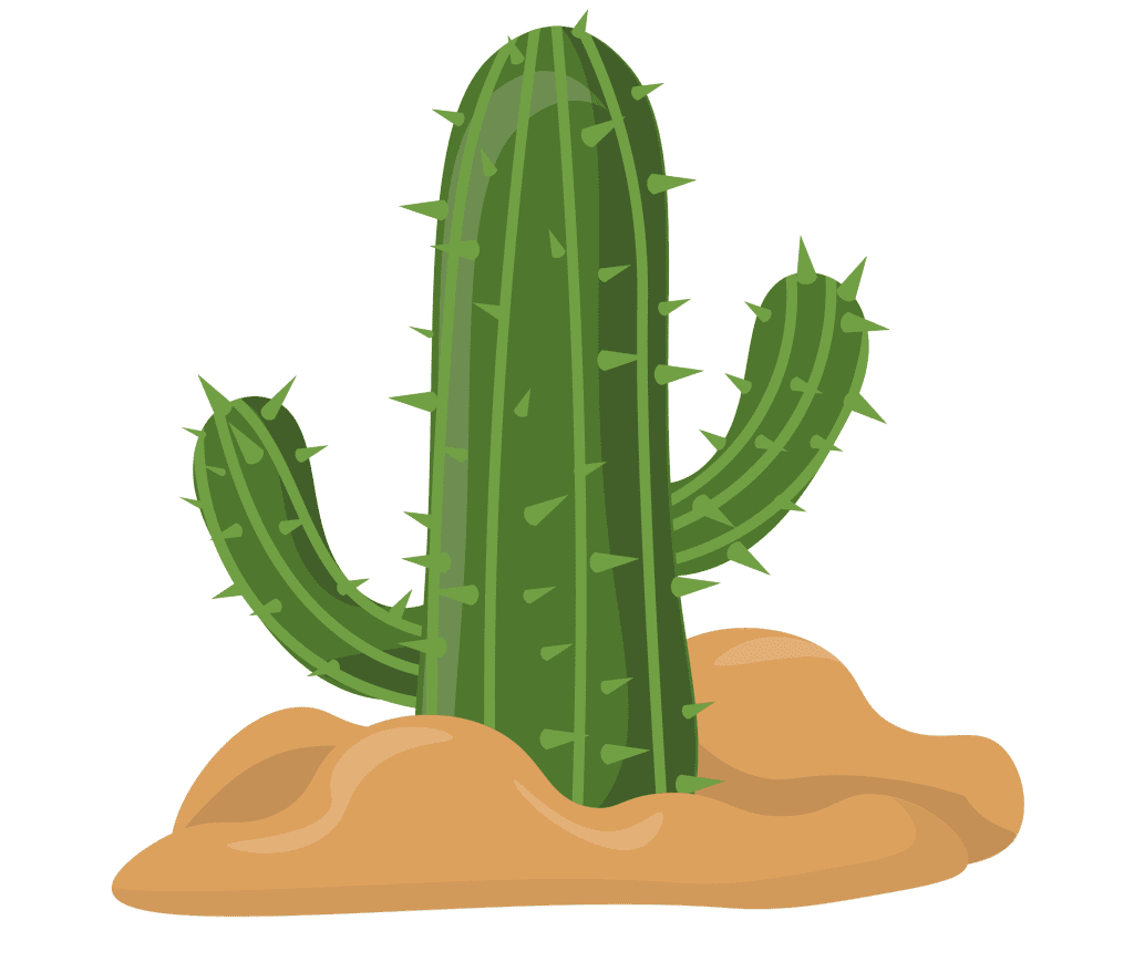 Cactus west Image