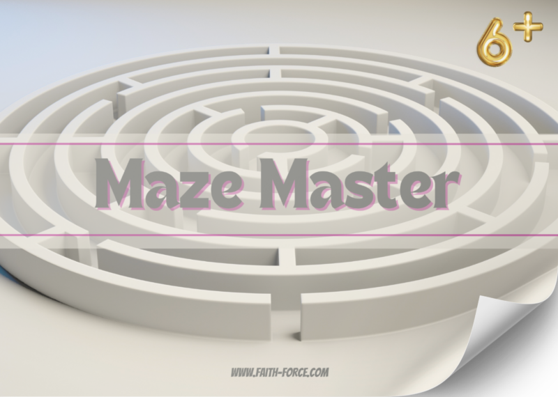 Maze Master WC Image