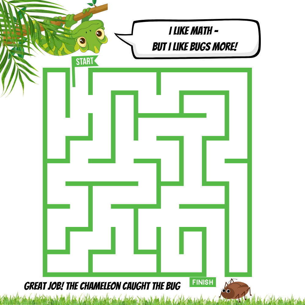 Chameleon Math Maze
