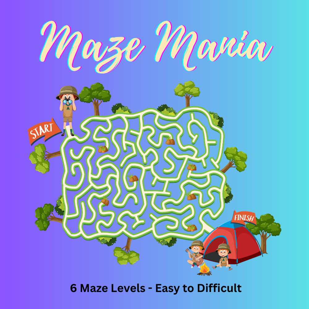 Maze Mania Game