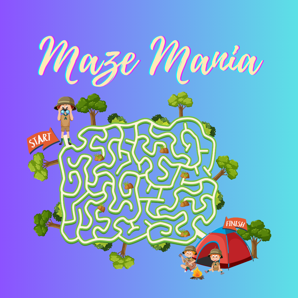 Maze Mania Game